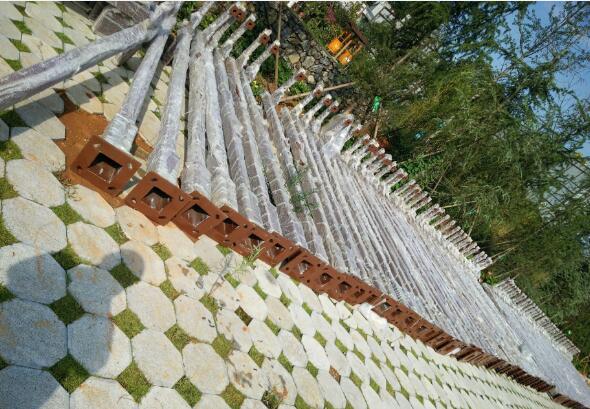 ĳ����100�׷¹ż�ظ�